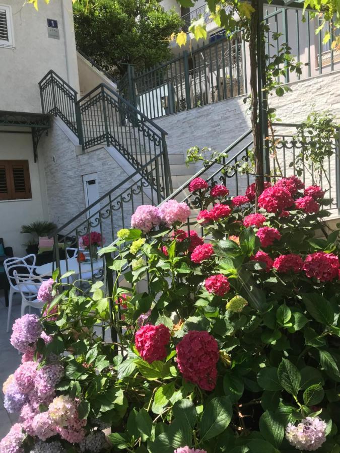 Mikovic * Budva